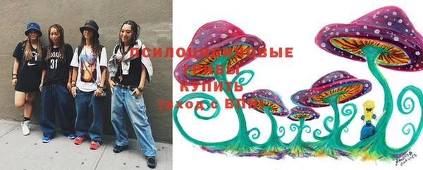 первитин Пестово